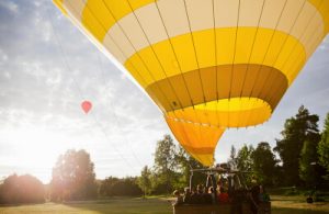 Luftballong de luxe-image