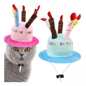 Födelsedagshatt för Katt-image