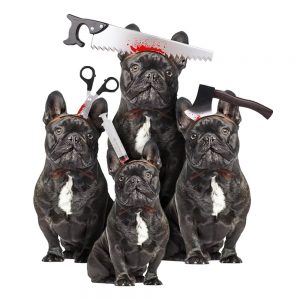 Halloween props for hund-image