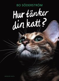 Bok - Hur tänker din katt?-image